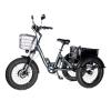 Купить электровелосипед трицикл E-motions PANDA 750W Электровелосипед трицикл E-motions PANDA 750W