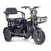 Трицикл Rutrike Бумеранг 500W 48V двухместный без АКБ