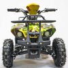 Купить квадроцикл GreenCamel Гоби K21 (36V 800W R6 Цепь) Квадроцикл GreenCamel Гоби K21 (36V 800W R6 Цепь)
