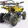 Купить квадроцикл GreenCamel Гоби K21 (36V 800W R6 Цепь) Квадроцикл GreenCamel Гоби K21 (36V 800W R6 Цепь)
