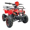 Купить квадроцикл GreenCamel Гоби K21 (36V 800W R6 Цепь) Квадроцикл GreenCamel Гоби K21 (36V 800W R6 Цепь)