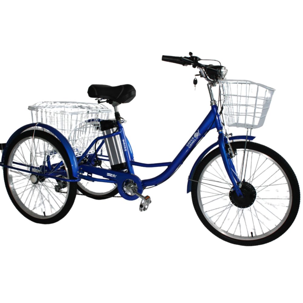 Электровелосипед GreenCamel Трайк-24 V2 (R24 250W 48V12Ah)