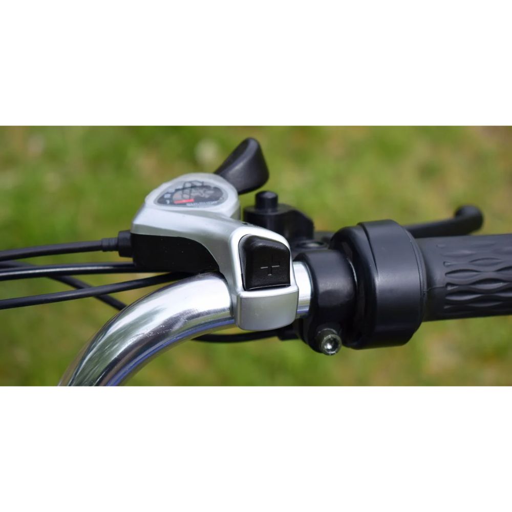 Электровелосипед трехколесный Terax NAROCH XD02 Электровелосипед трехколесный Terax NAROCH XD02