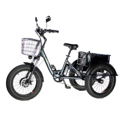 Электровелосипед трицикл E-motions PANDA 750W