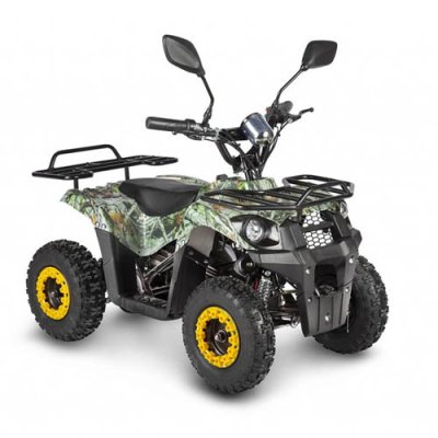 Электрический квадроцикл Voltrix Bars 36V 1000W