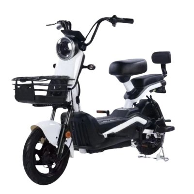 Электроскутер Shtenli Model 21 Performance (аккумулятор 4шт 20Ач12В)