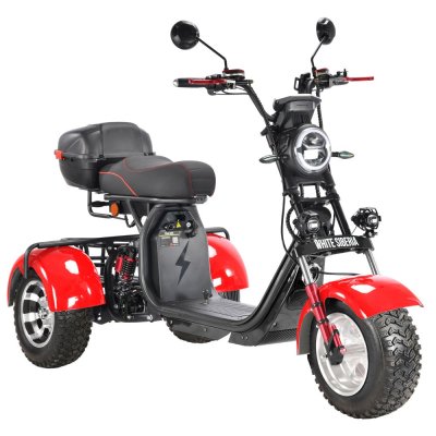 Электротрицикл WHITE SIBERIA PRO TRIKE 3000W