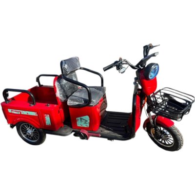Электротрицикл BEBIB Model Trike Pro
